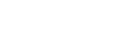 logo_the_digitale_wortmarke_noclaim_weiss_72ppi (1)